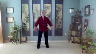 Wudang Qigong Foundation Sets 19 Breathing Exercises [upl. by Macpherson913]