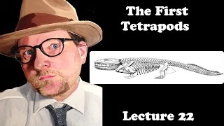 Lecture 22 The First Tetrapods [upl. by Izaak]