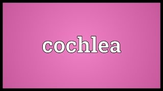 Cochlea Meaning [upl. by Enellek923]