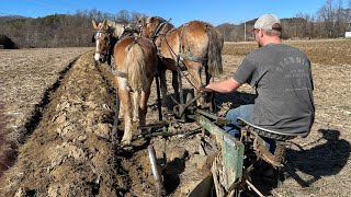 Plowing with horses [upl. by Airemaj38]