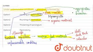 Under unfavourable conditions a sclerotium is formed by [upl. by Leshia242]