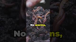 Amazing Worms Earth’s Underrated Garden Helpers [upl. by Osithe]