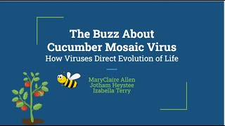 The Buzz About Cucumber Mosaic Virus [upl. by Saxe671]