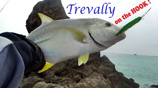 TREVALLY CATCH ON ULTRALIGHT  SHORELINE CASTING  ULTRALIGHT ANGLER [upl. by Petrick]