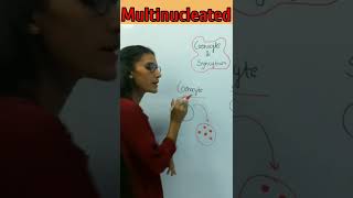 Coenocyte and syncytium difference  biology [upl. by Arracat]