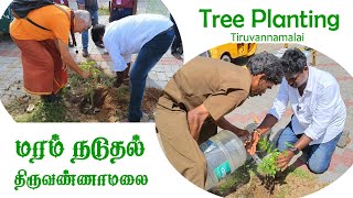 திருவண்ணாமலை கிரிவலப்பாதையில் மரக்கன்றுகள் நடுதல் Tree Planting One Day Food Tiruvannamalai 360 [upl. by Mateusz]