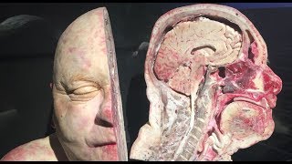 Gerçek İnsan Vücudu Müzesi Body Worlds [upl. by Madalena468]