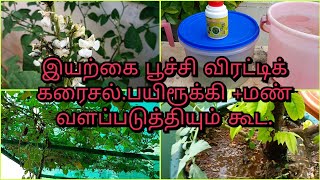 எல்லா புச்சிகளையும் விரட்ட ஒரே கரைசல் single solution to repel all insects [upl. by Hakvir]