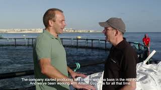 Malta Fish Farmings Success Journey with Alltech Coppens [upl. by Negam433]