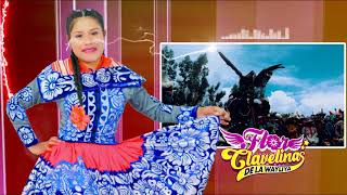 FLOR CLAVELINAS DE LA WAYLIYA  Mi Chalinita  FAMECO FILMS [upl. by Manthei]