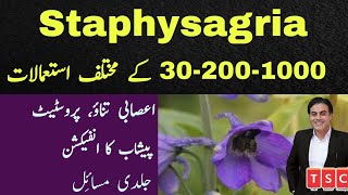 Staphysagria Explained  its Uses and Symptoms by Adeel mansoor Urdu HIndi [upl. by Nikola262]