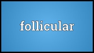 Follicular Meaning [upl. by Eirret]