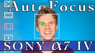 Sony A7 IV Autofocus Guide and Test All autofocus settings for the Sony A7 IV explained [upl. by Nnayllas988]