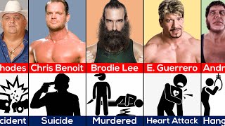 How WWE Wrestlers Died [upl. by Levitan232]