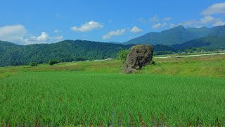 【BGM】日本の田舎とのんのんびより  The Japanese countryside and Non Non Biyori [upl. by Adamis]