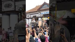 vaikommahadevatemple 🤩erattupetta ayyappan pallattbrahmadathan elephant keralatemplefestival [upl. by Amzu424]