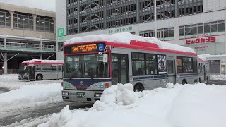 記録的大雪 新潟駅でバスを眺める [upl. by Korie]