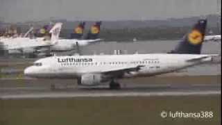 Hot Brakes  Hard Braking Landing Lufthansa A319 [upl. by Ronyam467]