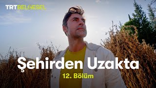 Şehirden Uzakta  AntalyaKaravca Köyü  TRT Belgesel [upl. by Yelekalb30]