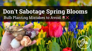 7 Bulb Planting Mistakes to Avoid 🌷❌ Dont sabotage spring blooms [upl. by Adelina478]