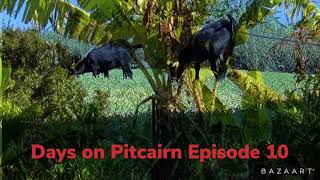 Pitcairn Island Days on Pitcairn Episode 10 [upl. by Ringe]