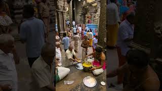 Prasadamdistribution Maha Rudra Japam 16924 Sri Natarajar Temple Reels Shorts [upl. by Noyart]