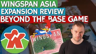 Wingspan Asia  Expansion Review  Beyond The Base Game [upl. by Parlin4]