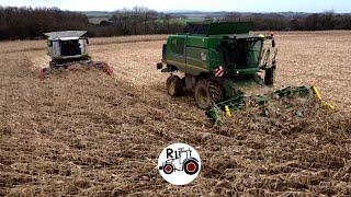 MAIS GRAIN 2023 APRES LA TEMPETE CIARAN CONDITIONS DIFFICILES ETA DE LELORN CORN HARVEST [upl. by Ashbaugh]