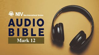 Mark 9 NIV AUDIO BIBLE ENG [upl. by Huai]