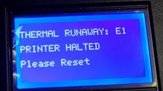 Termal Runway E1  PRINTER HALTED Ender 3 pro [upl. by Nhoj810]