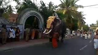 Elephant Attack Crowd  Padmanabha Swamy Temple [upl. by Darya]