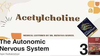 ACETYLCHOLINE  Cholinergic agonist  Pharmacology Lippincott Illustrated Reviews Series Katzung [upl. by Sill]