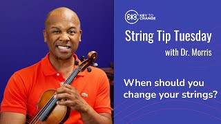 When should you change your Violin or Viola strings  String Tip Tuesday [upl. by Arraik]