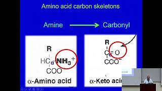 Catabolism of Amino Acids An Overview Metabolism Made Easy [upl. by Poppo]