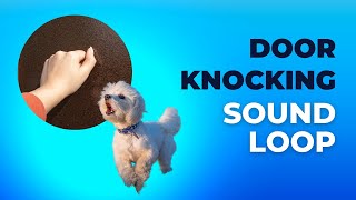 Door Knocking Sounds  Desensitizing Sound for Puppies and Dogs [upl. by Anrev]