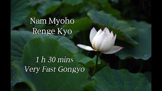 Miracle Very Fast Gongyo  1h 30mins Nam Myoho Renge Kyo [upl. by Lucien]