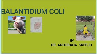 BALANTIDIUM COLI MICROBIOLOGY SHORT NOTE FOR MEDICOS  MALAYALAM [upl. by Annahoj202]