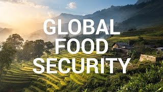 Impact Story Global Food Security [upl. by Bartholomeus]