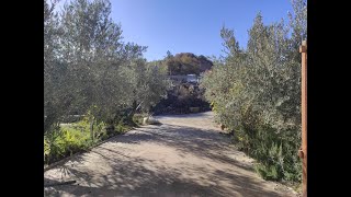 CORTIJO ROJO [upl. by Adlesirk]