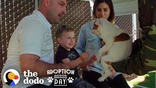 This Pittie Was Pregnant In A Shelter When She Found The Best Family  The Dodo Adoption Day [upl. by Akiv182]