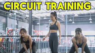 Circuit Training for Fat Loss [upl. by Elleinnod]