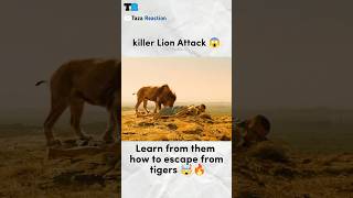 Killer Lion Attack on Human 😱shorts attack lion animals [upl. by Brasca358]