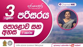 පොළොව සහ අහස  03 ශ්‍රේණිය පරිසරය [upl. by Finella824]