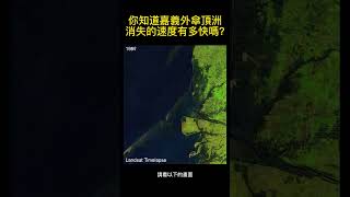 雲林外傘頂洲即將消失 雲林 外傘頂洲 沙洲消失 環境變遷 衛星影像 環境保護 [upl. by Ennayoj]