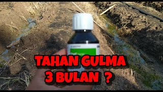 Herbisida Pratumbuh untuk lahan kering  Racun Penahan Gulma [upl. by Assiruam]