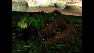 Science  Soil Formation and soil layers  Hindi [upl. by Rasia474]