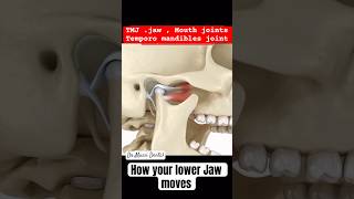 TMJ Problems lower Jaw movements [upl. by Fleischer570]