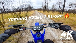 Yamaha YZ250 2 Stroke Trail Riding 🔥 4K Quality [upl. by Hallagan]