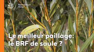 Le meilleur paillage le BRF de saule [upl. by Berey699]