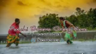 panchi bonem oreng kana santhali romantic song [upl. by Laira]